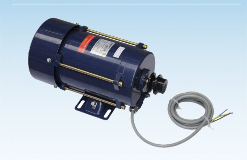 WDMSB Explosion Proof Motor