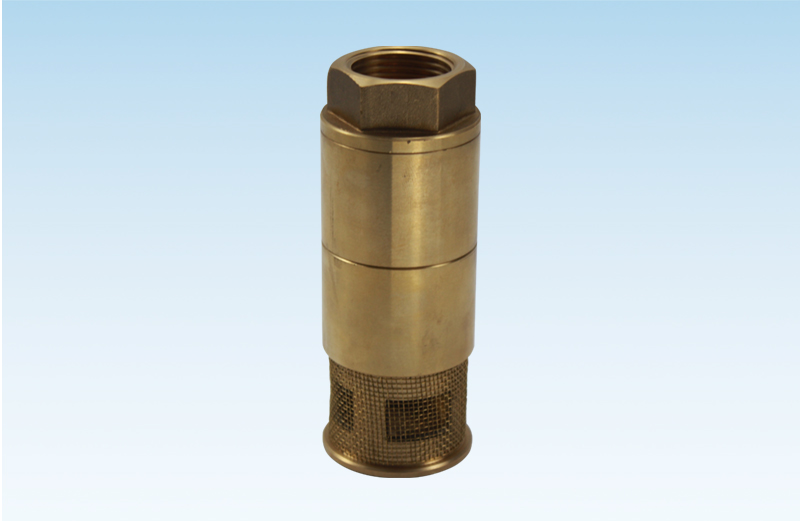 WDFV Foot Valve