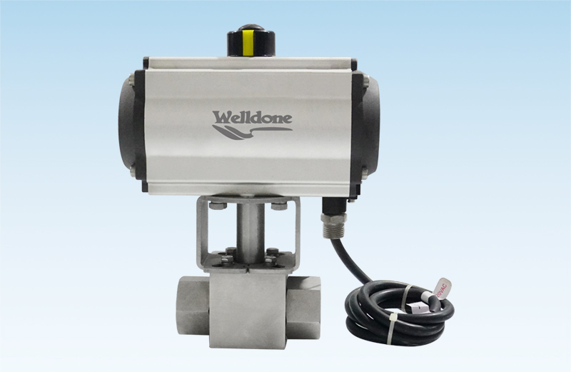 CNG Pneumatic Valve