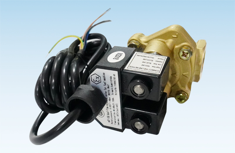 What components make up a standard LPG dispenser?